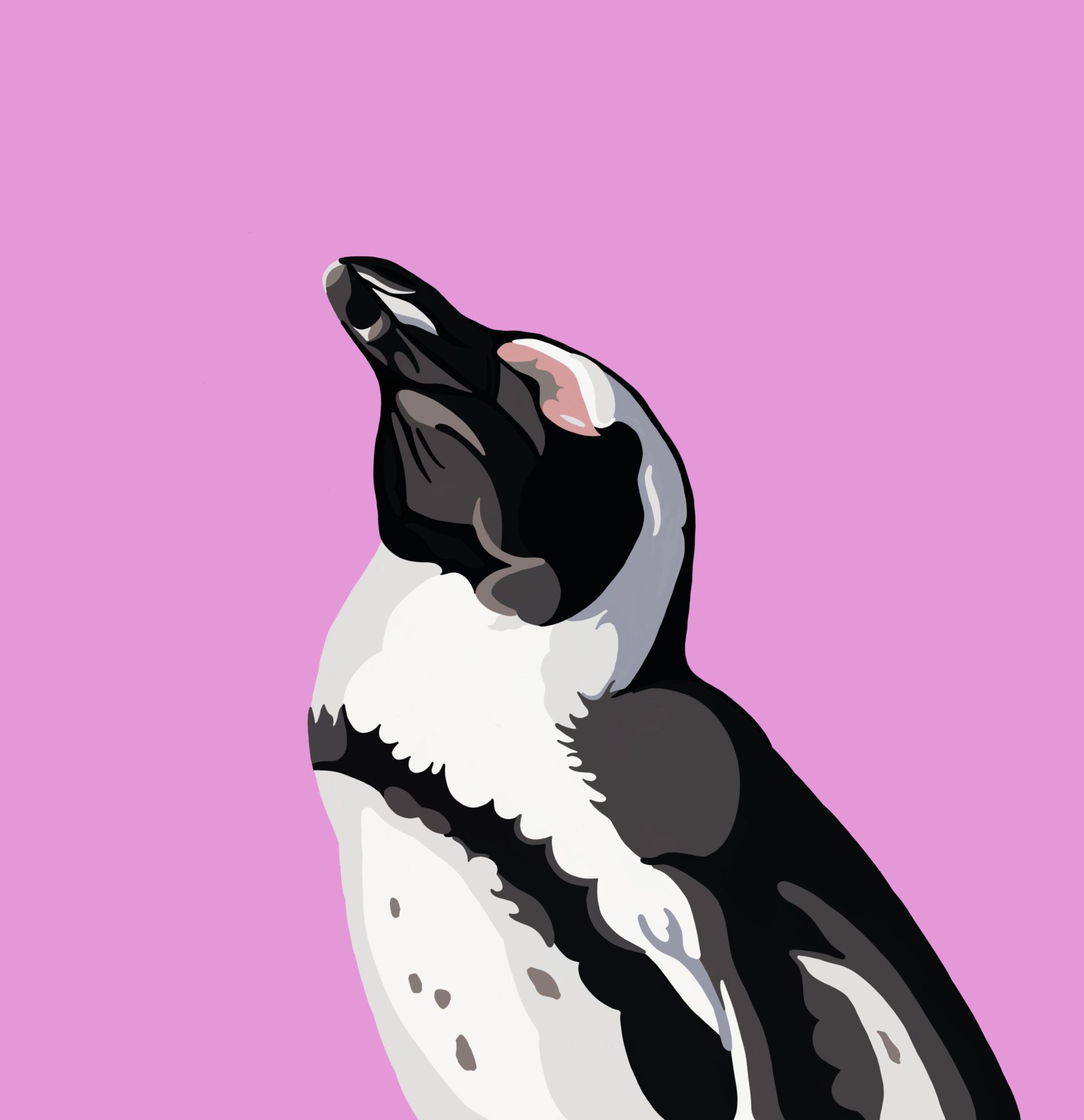 An illustration of an African Penguin that appears to be smiling into the light